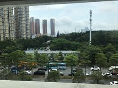 -百年果林椰子鸡(中洲店)