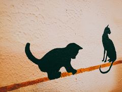 -猫小院猫主题咖啡厅(北锣店)