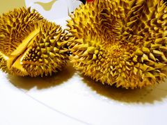 -双福水果批发市场