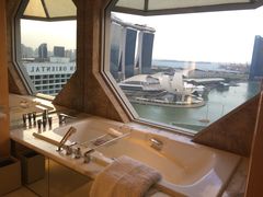 临窗的浴缸-新加坡丽思卡尔顿美年酒店
