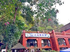 -西双版纳原始森林公园