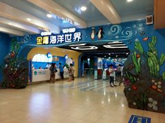 android_upload_pic-常州海昌海洋探索馆