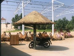 -库伦旗银沙湾旅游景区