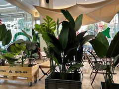 -SENTEA森茶(麦地丽日店)