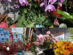 -何兮花店·气球派对鲜花店(马桥银春路万科城店)