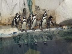 -太平洋海底世界