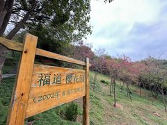 -福道