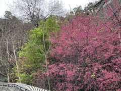 -福道