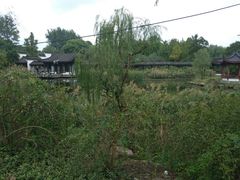 -日出青木·杭帮菜名店