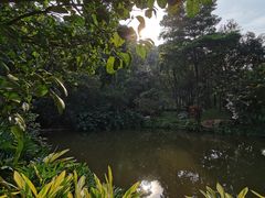 -云溪植物园