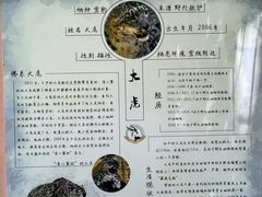 -青藏高原野生动物园