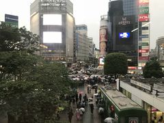 -涩谷全向十字路口