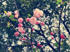 -渤公岛生态公园