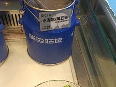 -溪边姑娘·拉丝酸奶水果捞(春熙路店)