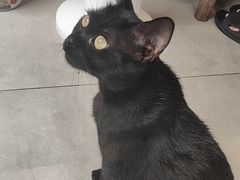 -石舍洒秀咖啡馆