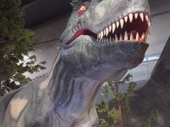 -湖南省地质博物馆