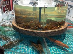 -百富源·海鲜辽菜(张士店)