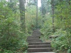 景点-五营红松林海景区