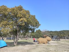 -嘉北郊野公园