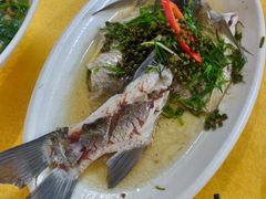 花椒鱼-鸽王世家(东华东路店)