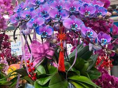 -双季花艺园艺市场(浦东店)