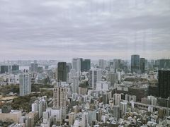 -六本木新城展望台(东京城市景观)