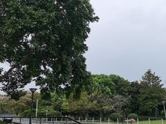 -蠡湖大桥公园