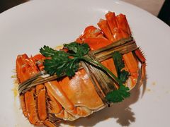 -新梅华餐厅(星悦汇店)