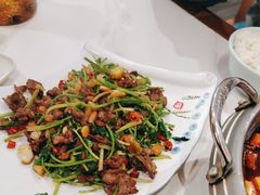 -蜀都人家川菜馆(培新街店)