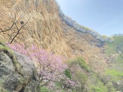 -少华山国家森林公园
