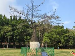 -东莞植物园