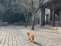 -四门塔风景区