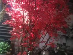 -印巷里主题餐厅(马鞍山店)