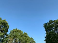 -漕湖湿地公园