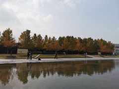 -金陵图书馆