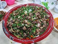-东吴霸王兔(松青路店)