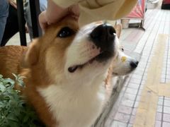 -小梁哥云吞面(黄贝岭店)