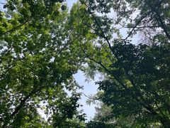 -黑龙江省森林植物园