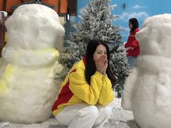 -世界之窗阿尔卑斯冰雪世界