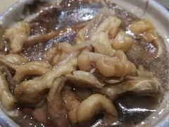 -姐妹炖罐店(桂香街总店)