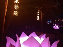 -印象普陀