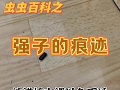 -上海久光百货