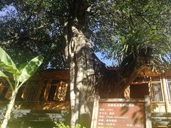 -相约小筑缅泰文化餐厅(临沧·强力广场店)