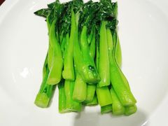 炒菜心-神洲四海大酒楼(王府井澳门中心店)