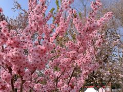 -元大都城垣遗址公园