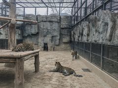 -石家庄市动物园