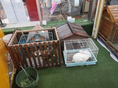 -巴黎春天(浦建店)