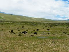 -松赞干布出生地