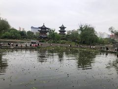 -迎泽公园