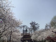-堤角公园